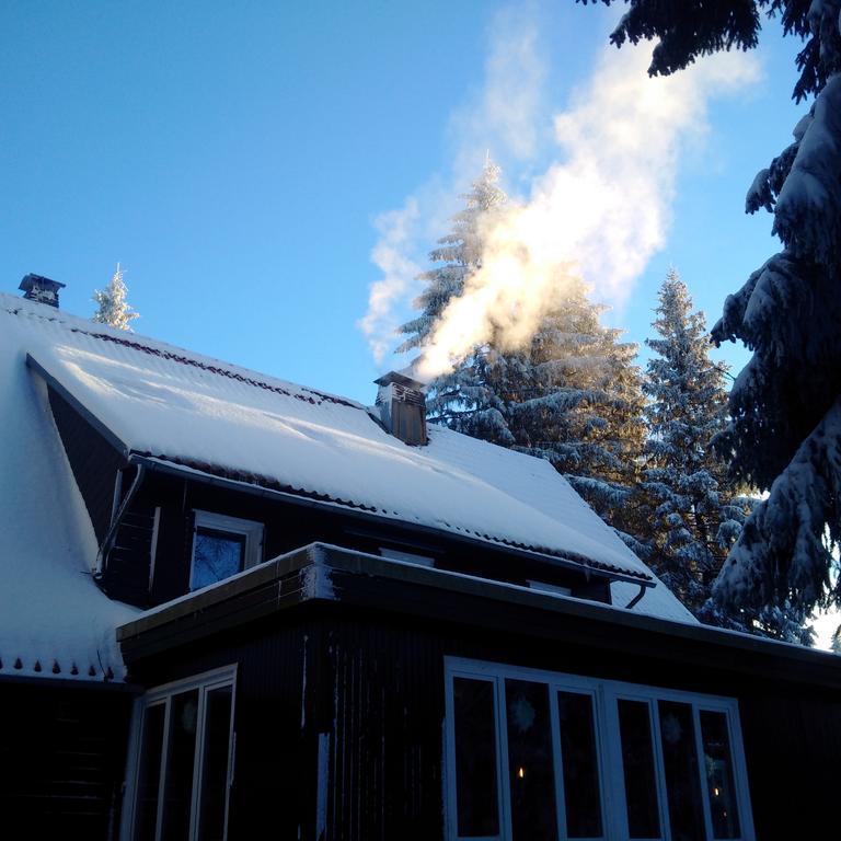 The Cabin - Harz National Park Sankt Andreasberg Ngoại thất bức ảnh
