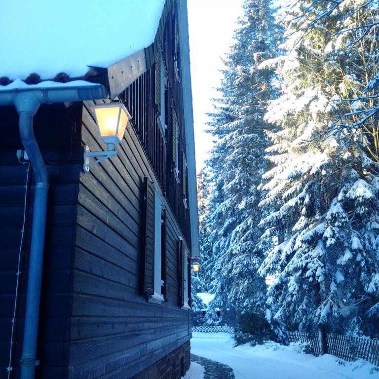The Cabin - Harz National Park Sankt Andreasberg Ngoại thất bức ảnh